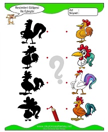 Gölgesi İle Eşleştir Çalışma Sayfaları